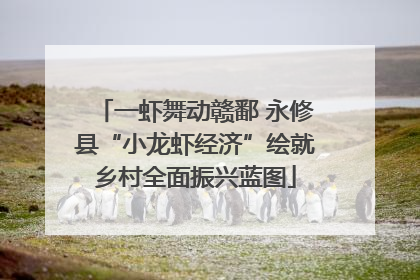 一虾舞动赣鄱 永修县“小龙虾经济”绘就乡村全面振兴蓝图