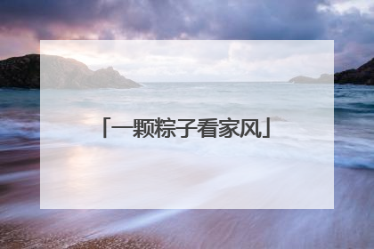 一颗粽子看家风