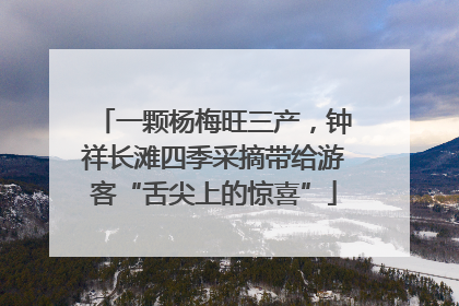 一颗杨梅旺三产，钟祥长滩四季采摘带给游客“舌尖上的惊喜”