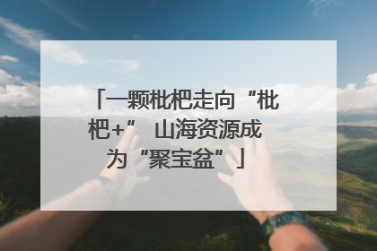 一颗枇杷走向“枇杷+” 山海资源成为“聚宝盆”