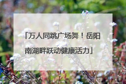 万人同跳广场舞！岳阳南湖畔跃动健康活力