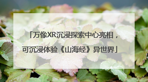 万像XR沉浸探索中心亮相，可沉浸体验《山海经》异世界