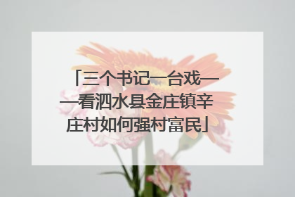 三个书记一台戏——看泗水县金庄镇辛庄村如何强村富民