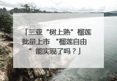 三亚“树上熟”榴莲批量上市 “榴莲自由”能实现了吗？