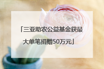 三亚助农公益基金获最大单笔捐赠50万元