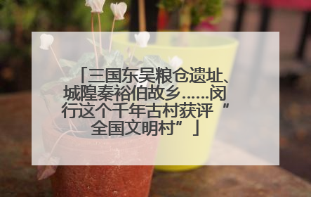 三国东吴粮仓遗址、城隍秦裕伯故乡……闵行这个千年古村获评“全国文明村”
