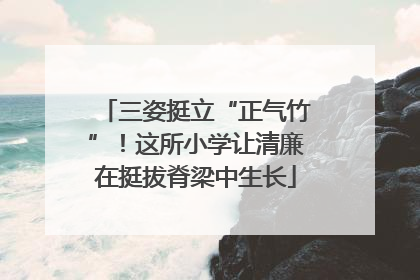 三姿挺立“正气竹”！这所小学让清廉在挺拔脊梁中生长