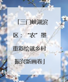 三门峡湖滨区：“农”墨重彩绘就乡村振兴新画卷