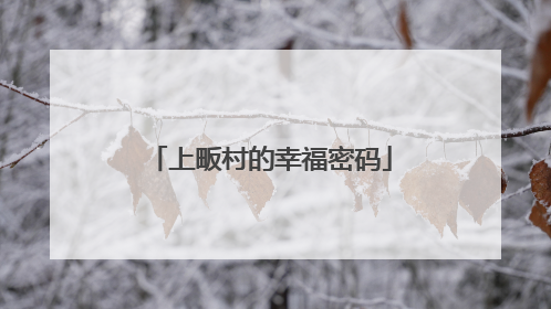 上畈村的幸福密码