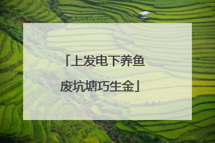 上发电下养鱼 废坑塘巧生金