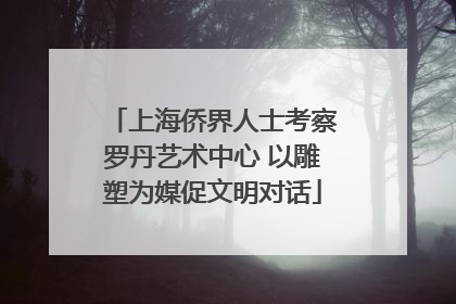 上海侨界人士考察罗丹艺术中心 以雕塑为媒促文明对话