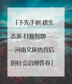 下先手棋·建生态系·打数智牌——河南文旅热背后的社会治理答卷