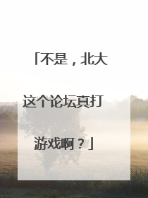 不是，北大这个论坛真打游戏啊？