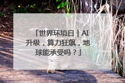 世界环境日｜AI升级，算力狂飙，地球能承受吗？