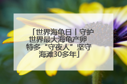 世界海龟日丨守护世界最大海龟产卵 特多“守夜人”坚守海滩30多年