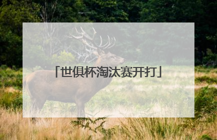 世俱杯淘汰赛开打