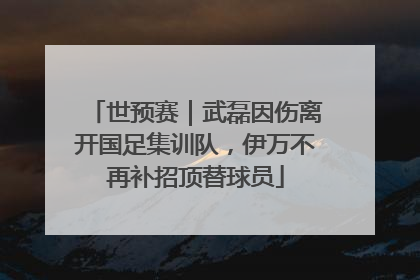 世预赛｜武磊因伤离开国足集训队，伊万不再补招顶替球员