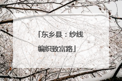 东乡县：纱线编织致富路