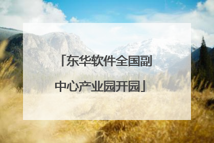 东华软件全国副中心产业园开园