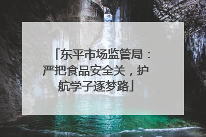 东平市场监管局：严把食品安全关，护航学子逐梦路