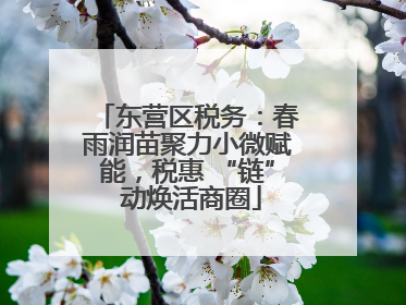 东营区税务：春雨润苗聚力小微赋能，税惠 “链” 动焕活商圈