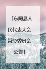 东阿县人民代表大会常务委员会公告