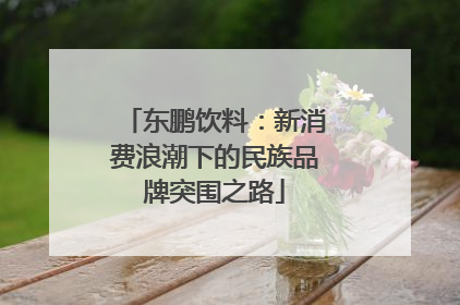 东鹏饮料：新消费浪潮下的民族品牌突围之路