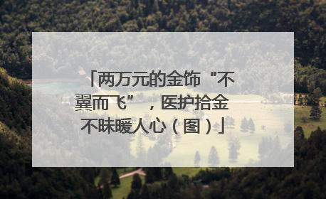 两万元的金饰“不翼而飞”，医护拾金不昧暖人心（图）