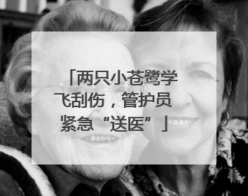 两只小苍鹭学飞刮伤，管护员紧急“送医”