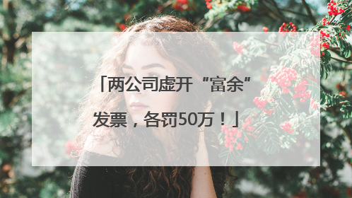 两公司虚开“富余”发票，各罚50万！