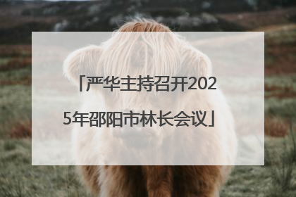 严华主持召开2025年邵阳市林长会议