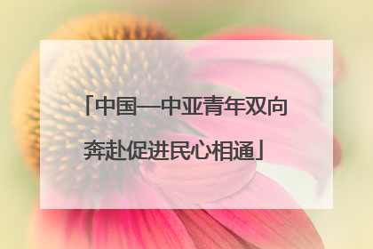 中国—中亚青年双向奔赴促进民心相通