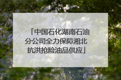中国石化湖南石油分公司全力保障湘北抗洪抢险油品供应