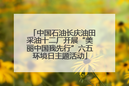 中国石油长庆油田采油十二厂开展“美丽中国我先行”六五环境日主题活动