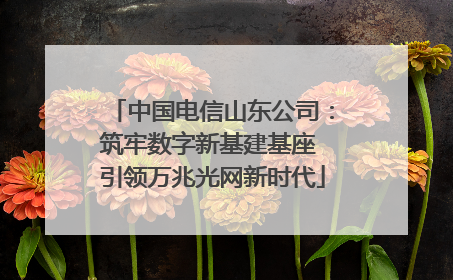 中国电信山东公司：筑牢数字新基建基座 引领万兆光网新时代
