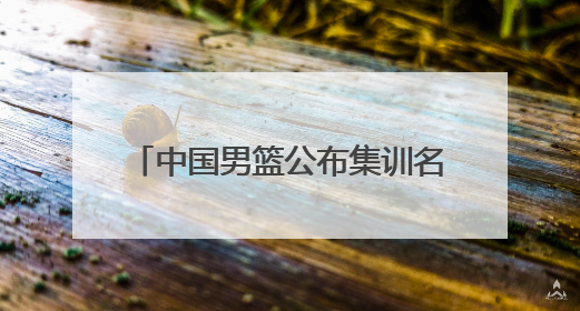 中国男篮公布集训名单，周琦、曾凡博、雷蒙、廖三宁入选