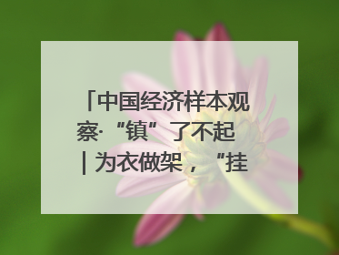 中国经济样本观察·“镇”了不起｜为衣做架，“挂”出来的80亿元“衣架产业”