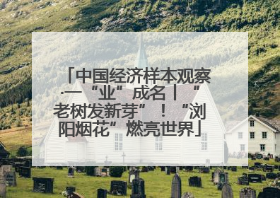中国经济样本观察·一“业”成名丨“老树发新芽”！“浏阳烟花”燃亮世界