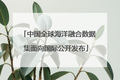 中国全球海洋融合数据集面向国际公开发布