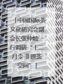 中国国际茶文化研究会副会长张仲灿一行调研“十二月令·非遗茶空间”