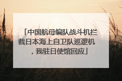 中国航母编队战斗机拦截日本海上自卫队巡逻机，我驻日使馆回应