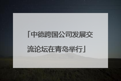 中德跨国公司发展交流论坛在青岛举行