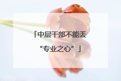中层干部不能丢“专业之心”