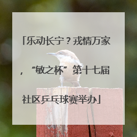 乐动长宁？戎情万家，“敏之杯”第十七届社区乒乓球赛举办