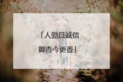 人勤且诚信 御杏今更香