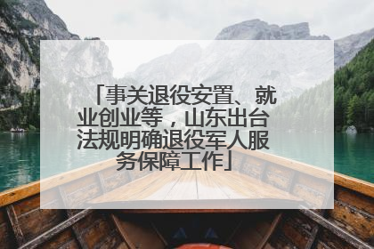 事关退役安置、就业创业等，山东出台法规明确退役军人服务保障工作