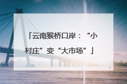 云南猴桥口岸：“小村庄”变“大市场”