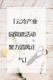 云冷产业园党建活动聚力清风正气