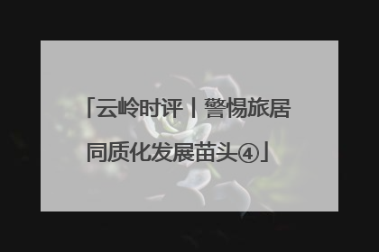 云岭时评丨警惕旅居同质化发展苗头④