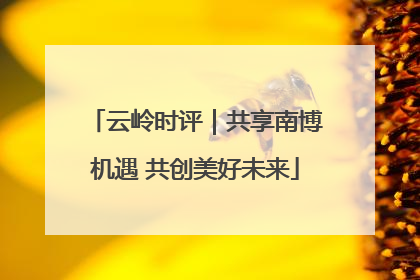 云岭时评｜共享南博机遇 共创美好未来